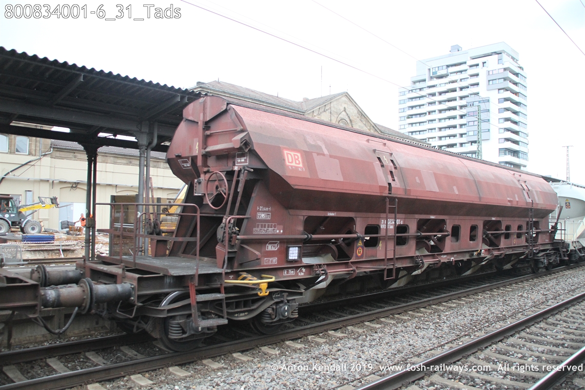 800834001-6_31_Tads.JPG